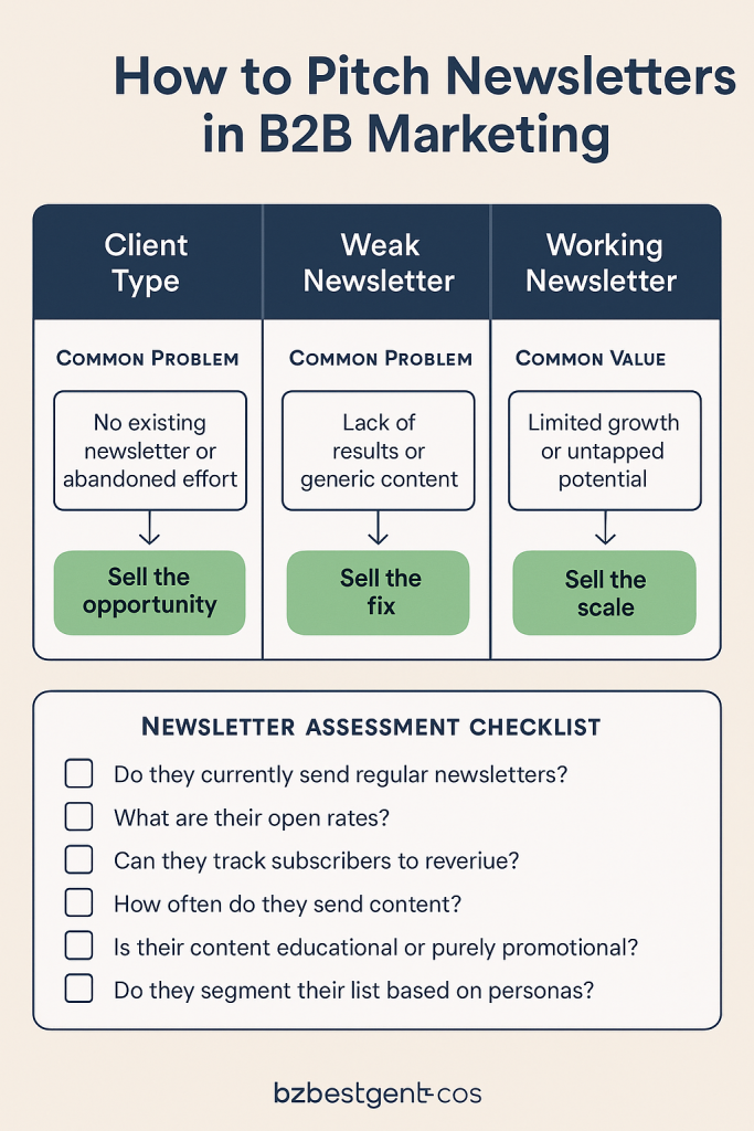 Infographic showing how freelancers can pitch B2B newsletter marketing services, including client types, common problems, and a checklist for assessment.