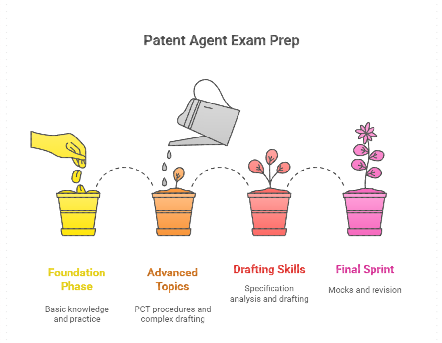 12-month patent agent exam preparation timeline showing foundation phase (months 1-3), advanced topics phase (months 3-6), drafting skills development (months 6-10), and mock test phase (months 11-12) with weekly study hour recommendations