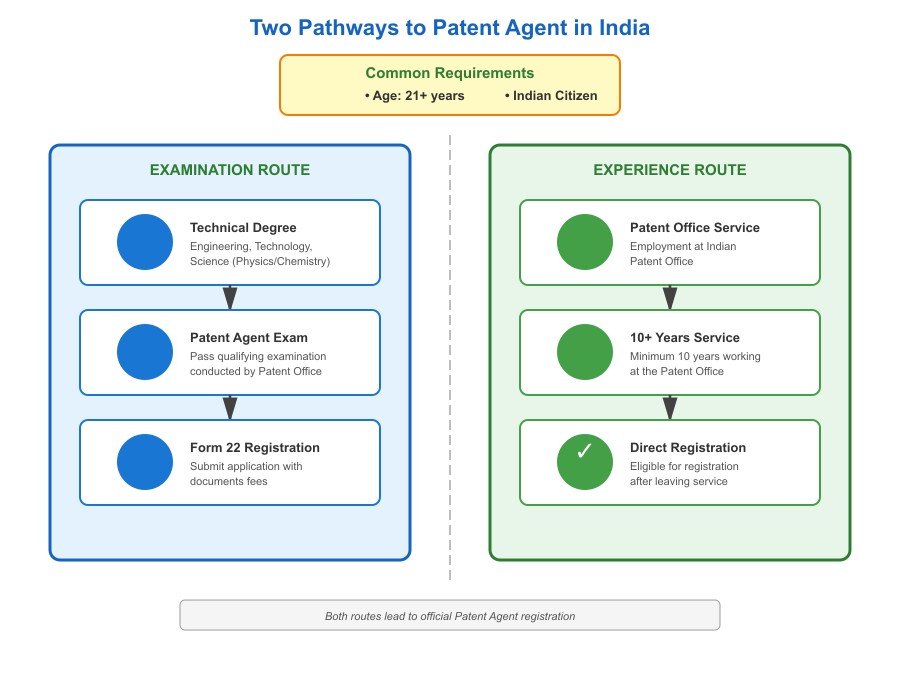 Patent Agent eligibility pathways showing examination route (technical degree + exam + registration) and experience route (10 years Patent Office service + direct registration)