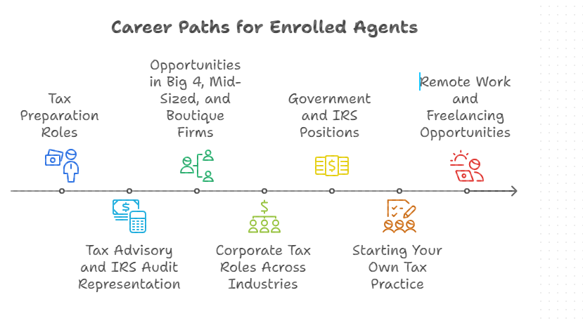 Enrolled Agent career paths infographic displaying tax roles, Big 4 opportunities, government positions, and freelancing options.