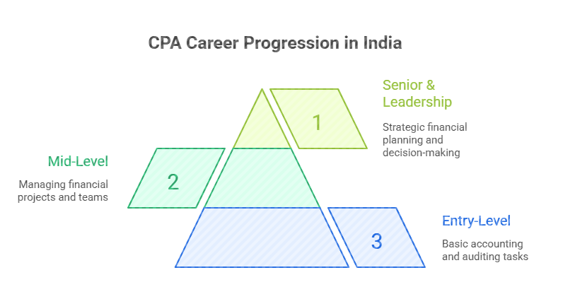 CPA career progression pyramid diagram