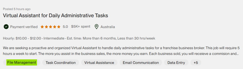 remote virtual assistant jobs